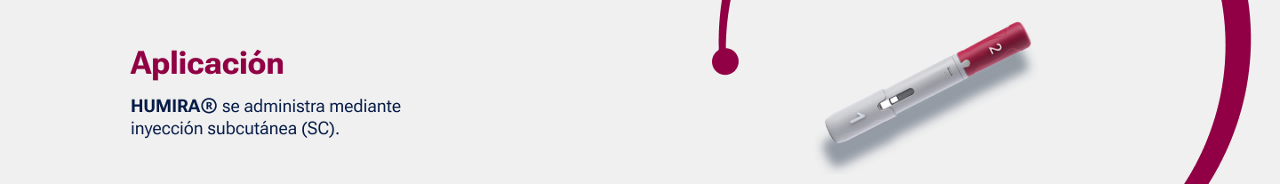 BAnner aplicación